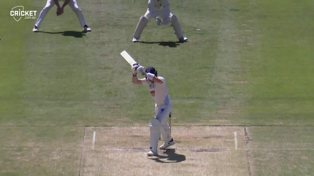 Steve Smith LBW for a duck ... would you have given this out? 📹 cricket.com.au #SheffieldShield