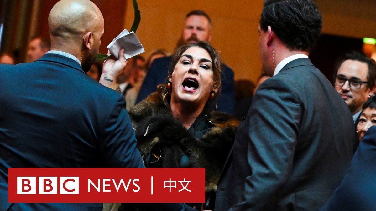“你不是我的国王！” 在查尔斯国王（King Charles）和卡米拉王后（Queen Camilla）到访澳洲之际，查尔斯国王在议会大厦受到了独立原住民参议员莉迪亚·索普（Lidia Thorpe）的斥责。