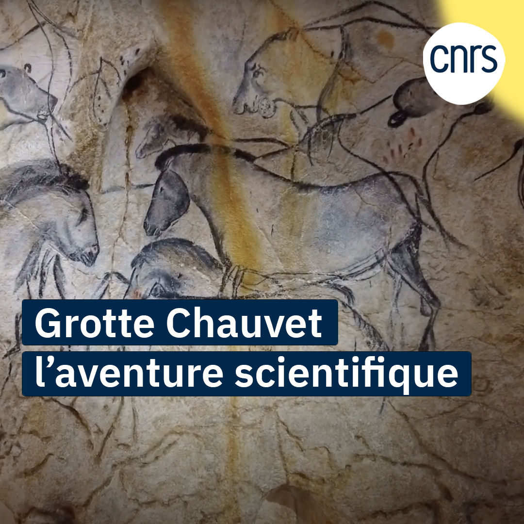 Trente ans après sa découverte, une exposition à la Cité des sciences et de l'industrie à Paris, met en lumière l’aventure scientifique derrière la grotte Chauvet. 🗓️ À découvrir jusqu'au 11 mai 2025.