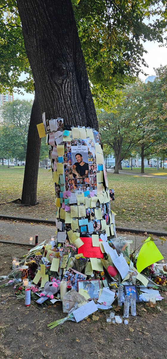 A makeshift memorial has been set up in Boston Common in memory of Liam Payne. ❤️
