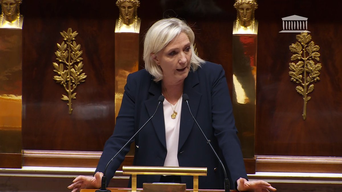 Nos dépenses sont financées. 22 milliards de mesures de lutte contre les rentes, la spéculation et la fraude. 15 milliards d’économies : 4 sur l’immigration, 5 sur la baisse des contributions versées à l'UE, 6 sur les aides à des pays qui n'apportent rien à la France.