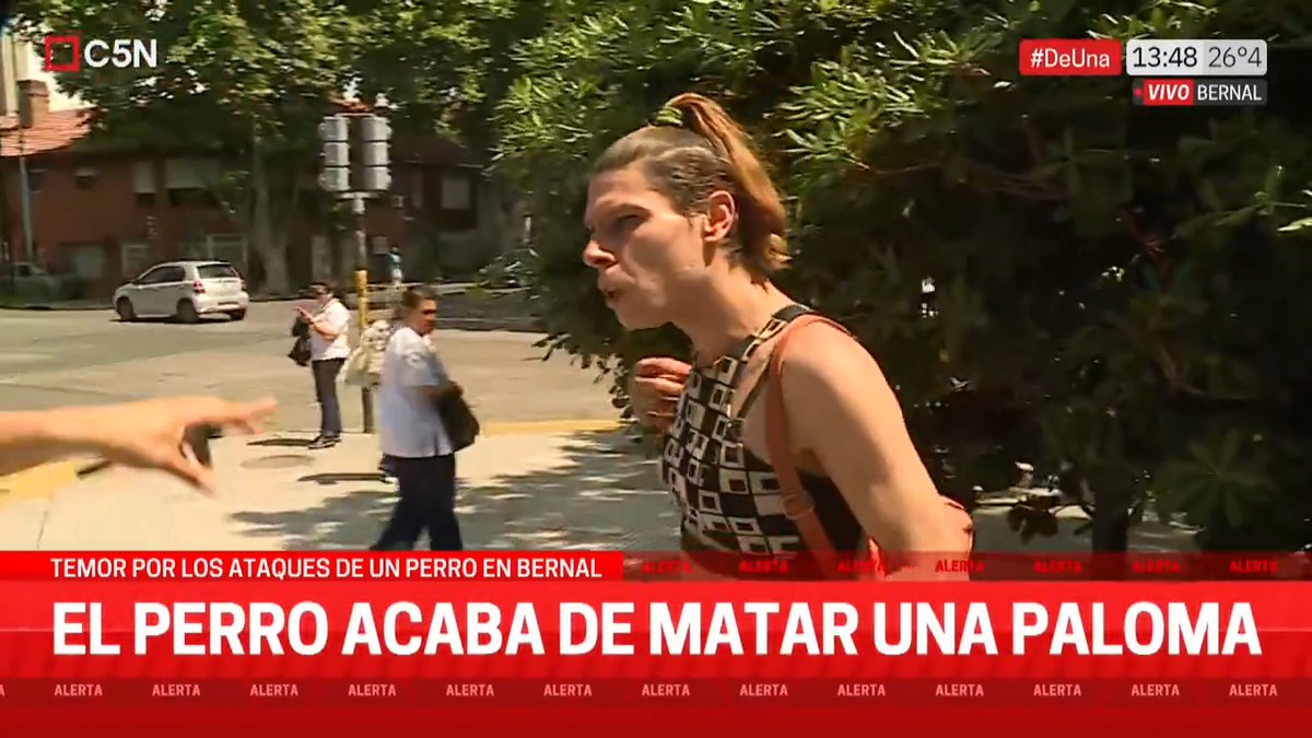 AHORA | Temor por los ataques de un perro en Bernal El animal apareció en la plaza sin bozal y el dueño agredió al móvil de C5N. 📲 EN VIVO por