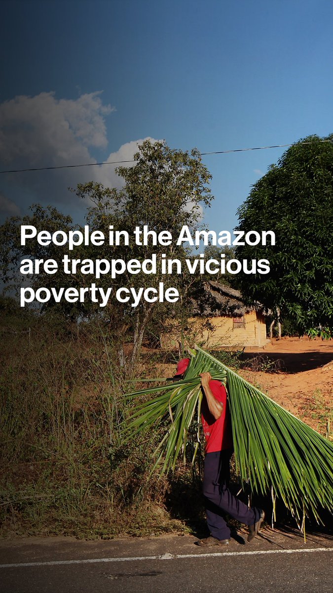 People living in Brazil's Amazon rainforest are trapped in a vicious cycle of poverty that is fueling deforestation. Can building sustainable micro-economies stop it? Vanessa Dezem explains