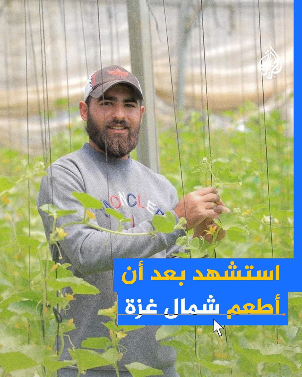 المهندس الزراعي يوسف أبو ربيع.. استشهد بعد أن حوّل الركام إلى ثمار وأطعم سكان شمال غزة #حرب_غزة
