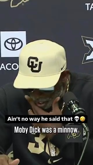 ELITE level trolling from the Colorado Buffaloes Football stats guy 🤣👏