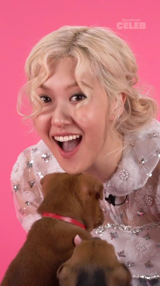 Besties, we have some exciting news! The ROSÉ Puppy Interview drops tomorrow on BuzzFeed Celeb! Drop a 💗 if you're ready for it. #ROSÉ #PuppyInterview