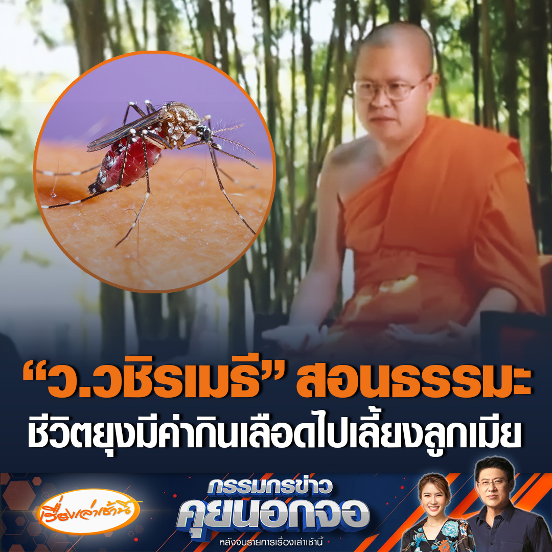 โซเชียลขุดอีก! “ว.วชิรเมธี” สอนธรรมะ “เท่ง เถิดเทิง” เกี่ยวกับยุง บอกยุงตัวผู้เป็นหัวหน้าครอบครัว ถ้าเผลอตบตายเป็นเรื่องใหญ่ ขณะที่ “แพรรี่ ไพรวัลย์” โต้ยุงตัวผู้ไม่ได้กินเลือด ไม่ได้มีครอบครัว ลั่นนี่ยุงไม่ใช่ผึ้ง #เรื่องเล่าเช้านี้ #ข่าวช่อง3 #กรรมกรข่าวคุยนอกจอ