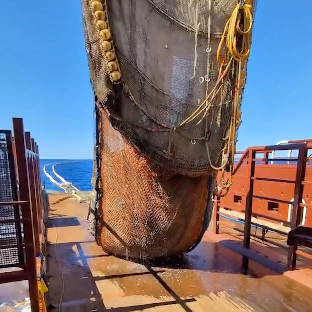 Plastic extraction #110 from the Great Pacific Garbage Patch - removing another 12,678 kg (27,954 lbs) of plastic from the ocean for good. Our total plastic catch from the GPGP is now over 500,000 kg (1.1 million lbs).