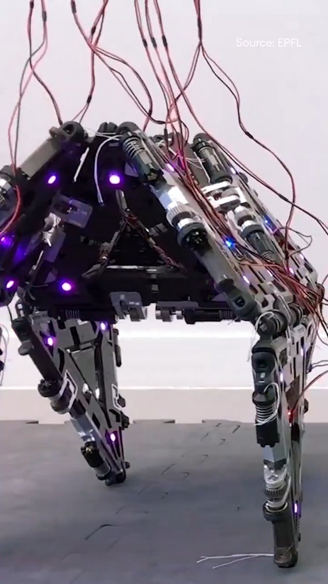 A team of researchers at EPFL's Reconfigurable Robotics Lab developed an origami-like robot that can change shape, move, and interact with objects and people.