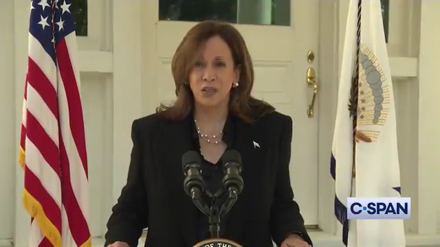 Vice President Harris on Donald Trump: "He does not want a military that is loyal to the United States Constitution, he wants a military that is loyal to him."