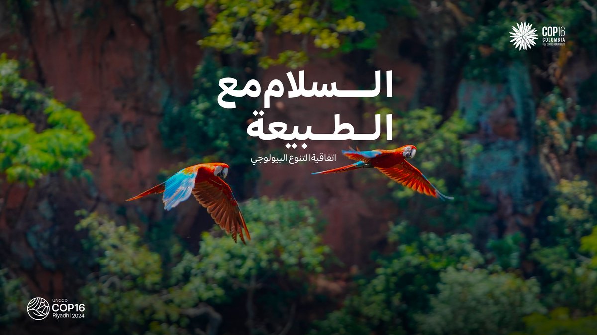 هناك ارتباط وثيق بين فقدان #التنوع_البيولوجي وتدهور الأراضي. وسنعمل في #كوب16_الرياض على إيجاد الحلول لاستعادة النظم البيئية وحماية مستقبل الأرض. انضم إلى الجهود العالمية لضمان مستقبل مستدام: #كوب16_كولومبيا #استصلاح_الأراضي #أرضنا_مستقبلنا #السلام_مع_الطبيعة