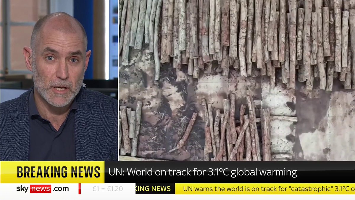 BREAKING: The UN says the world is on track for 3.1C global warming Tom Clarke has more. 📺 Sky 501, Virgin 602, Freeview 233 and YouTube