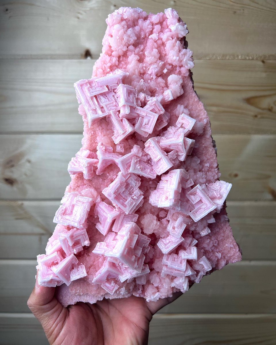 Extracting pink hopper halite crystals from the dried-up bed of Searles Lake, Trona, California. Credit: Omearthcrystals Dana & Adrienne