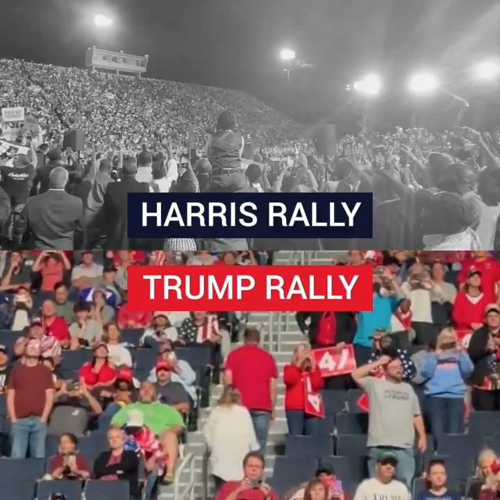 Rallies in the past 24 hours