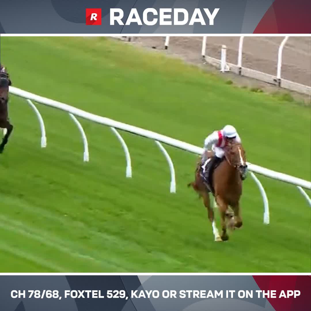 Pantoja, Giga Kick's three-quarter brother, wins in a one-act affair ✨ Clayton Douglas Racing Jamie Mott