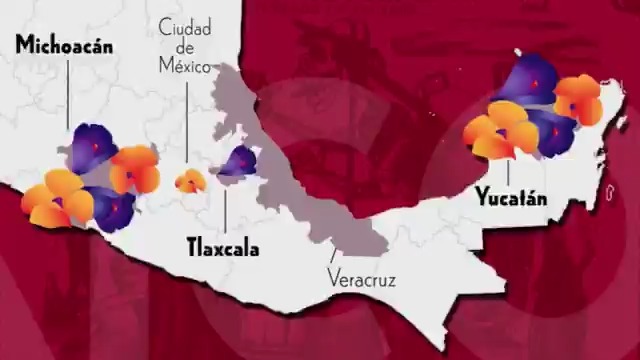 #SuavePatria l Durante la tradición del Día de Muertos, 1 y 2 de noviembre, honramos a los seres queridos que partieron. Cada entidad celebra de formas únicas, reflejo de nuestra diversidad cultural.