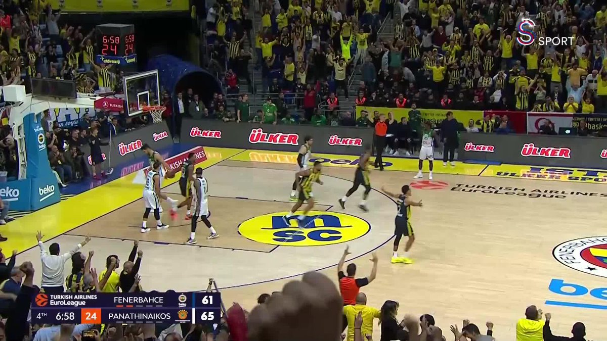 🔥 Tarık Biberovic.