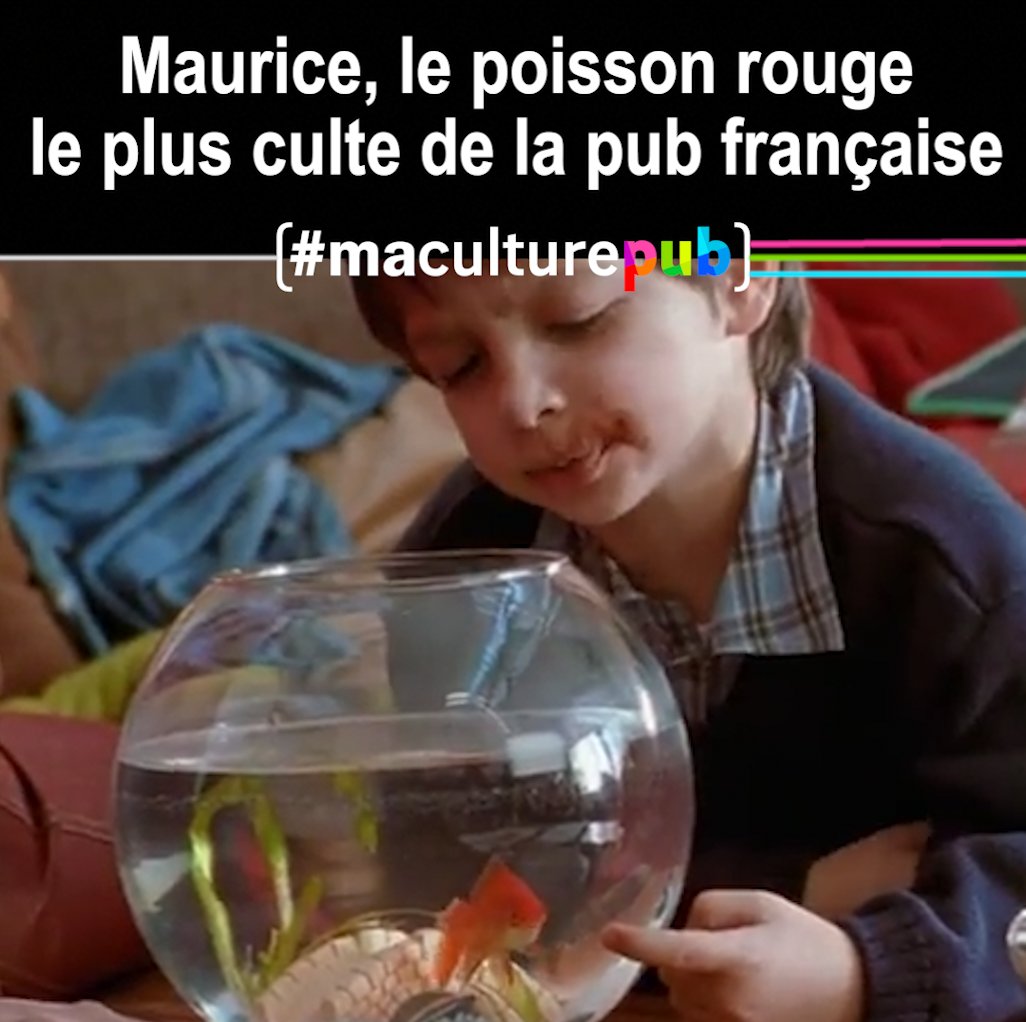 Sacré Maurice ! 🤣🐟 On ne se lasse jamais de le regarder "pousser le bouchon trop loin" ou "dépasser les bornes des limites". #MaCulturePub