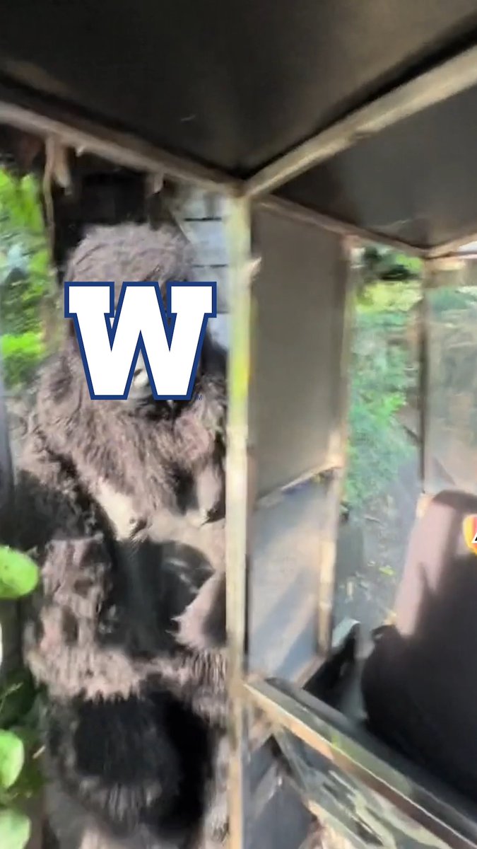 hey, look at us, who would've thought? SEE YA NOVEMBER 9TH YA'LLLLLLLLLLLL #ForTheW