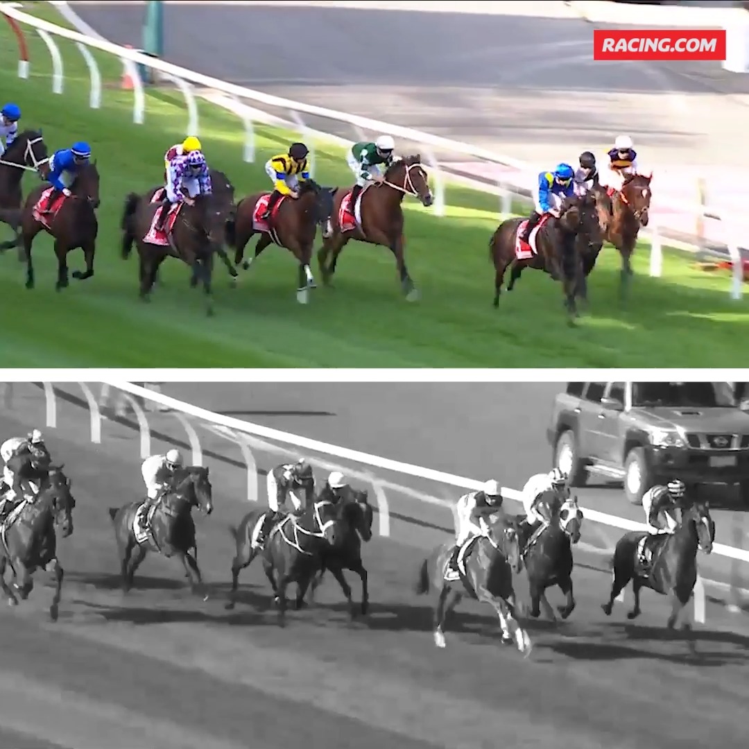 🏆 Via Sistina v Winx 🏆 Their two Cox Plate track records side-by-side is incredible viewing 🙌
