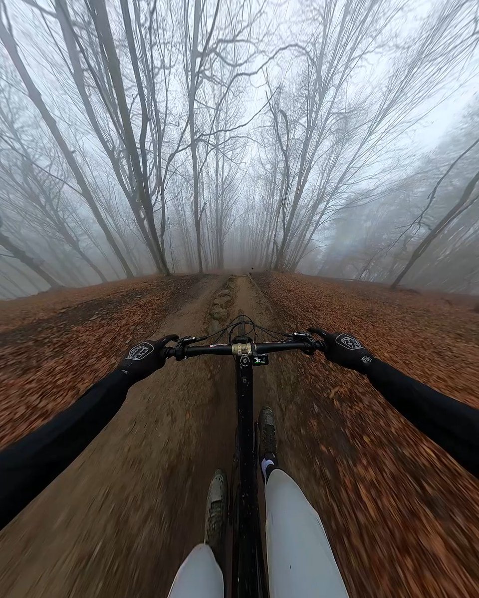Tell us this forest isn't haunted... 👻 POV from Subscriber Matteo Bonomini, who earned $1,000 for braving the fog + submitting the #GoProMAX clip to #GoPro #GoProMTB #Bike #MTB #Spooky #POV