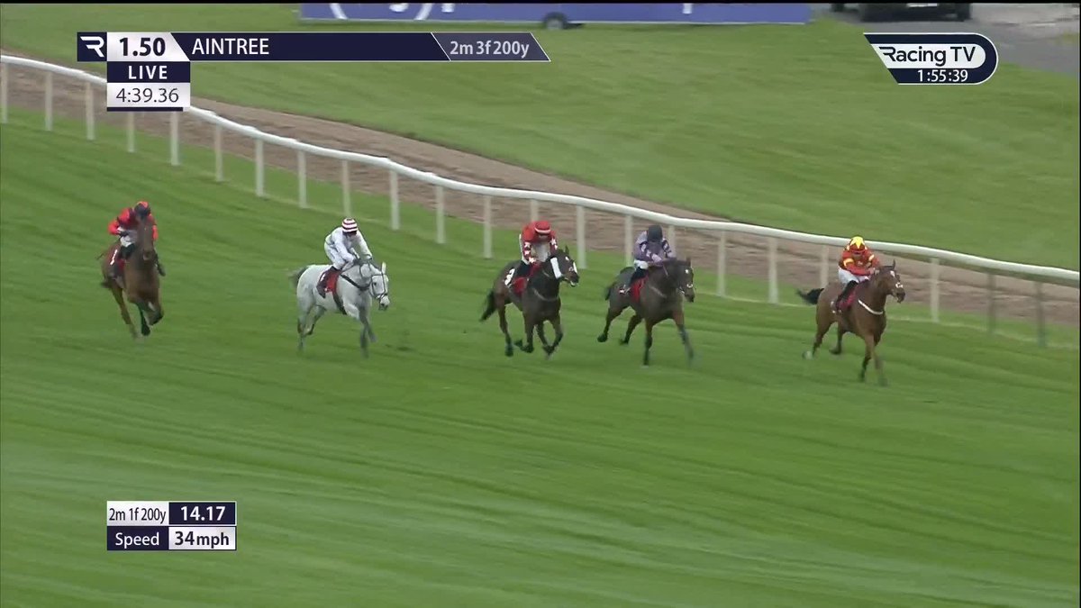 Now, I had 0 financial investment in this race, but the ride on Ahoy Senor 🧐 If you backed him, I'd say you have a few questions 🤨