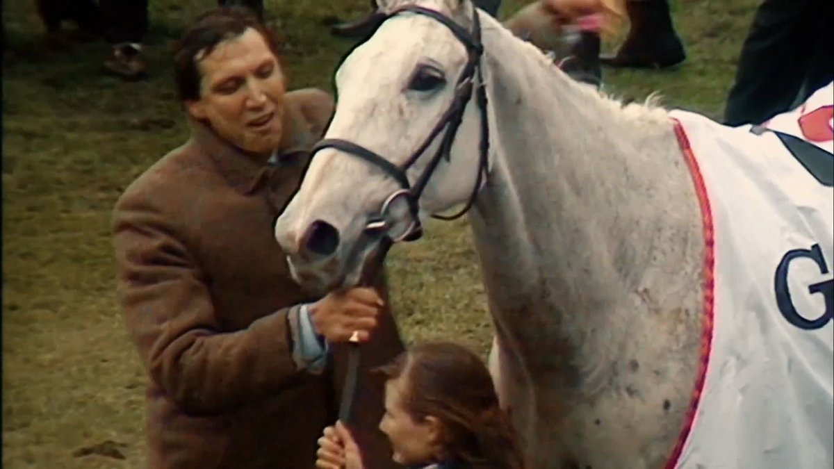 Remembering a great! Desert Orchid ❤️