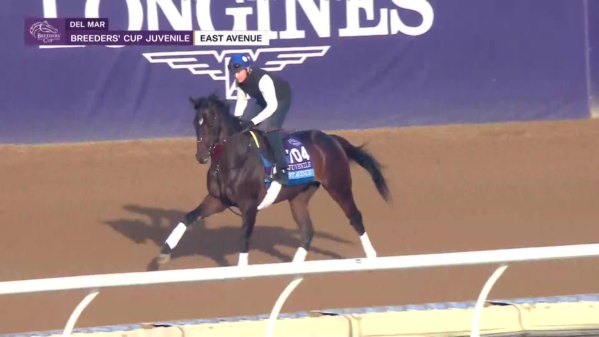 East Avenue absolutely floating over the Del Mar Racetrack track ahead of #BC24.