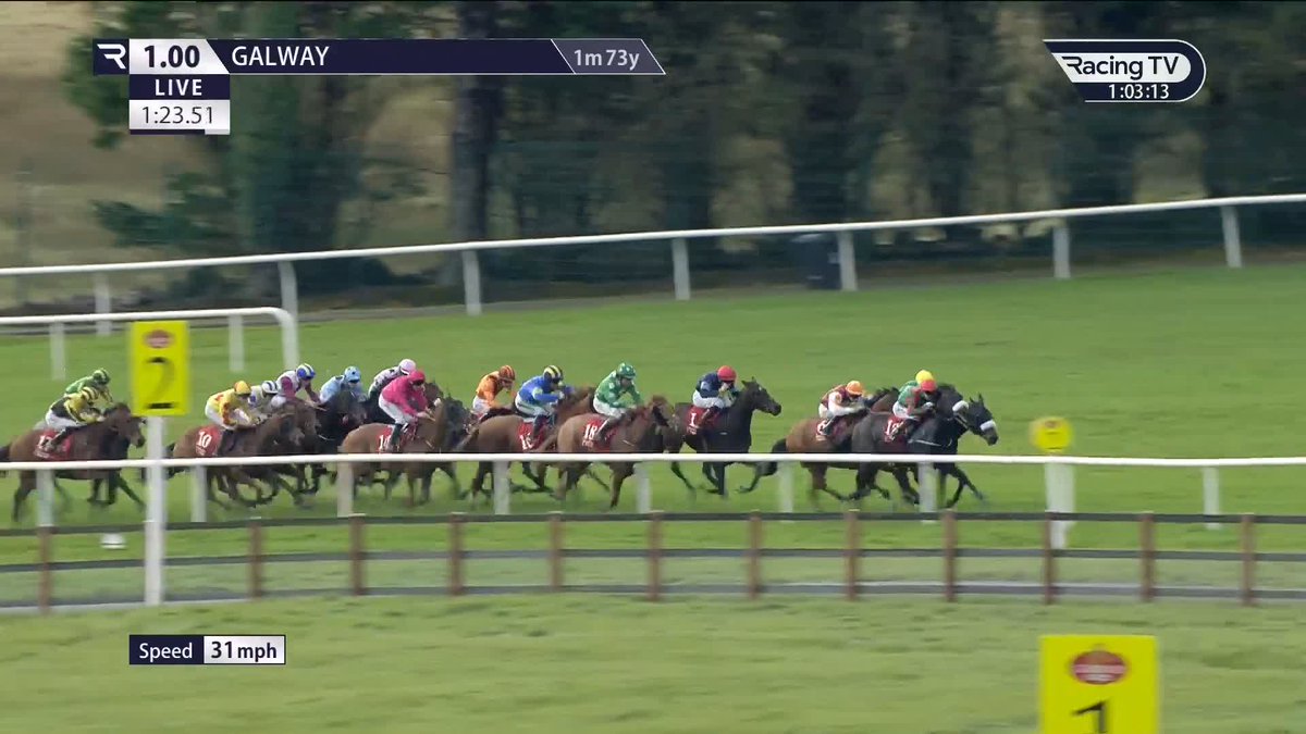 Jerry Hannon has just broke the record for the number of horses you can call home in five seconds! 🤣 Galway Races