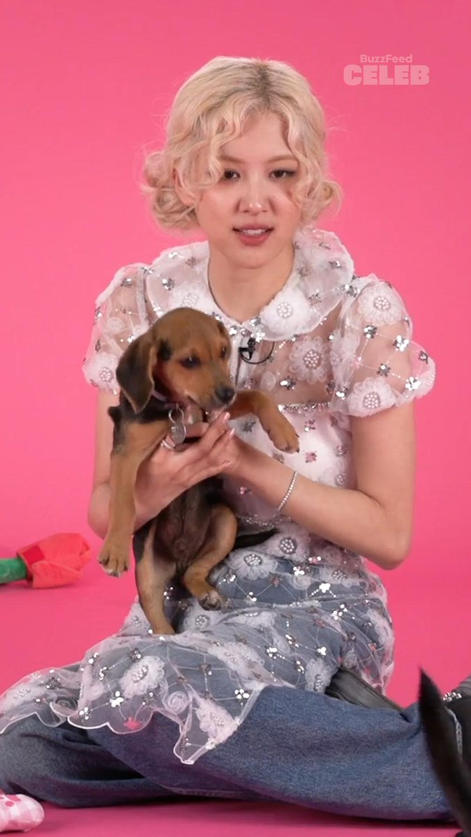 Mother says...go watch the ROSÉ Puppy Interview on BuzzFeed Celeb right NOW! Link: 🏃‍♀️💨 #ROSÉ #PuppyInterview