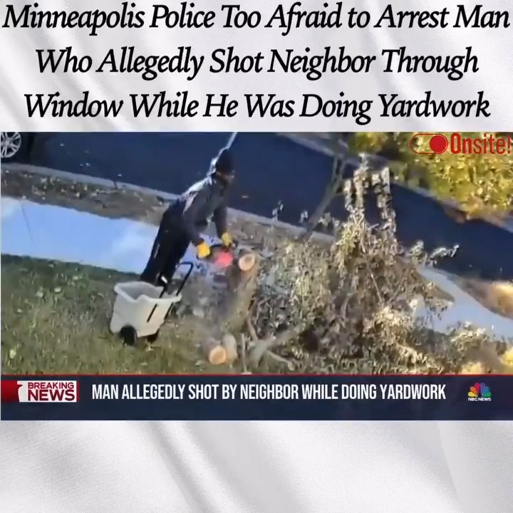 Let's check in on Tim Walz's city of Minneapolis and see how it's going... #CityLife #MinneapolisPD #minneapolis #Minnesota #police #urban #democrats