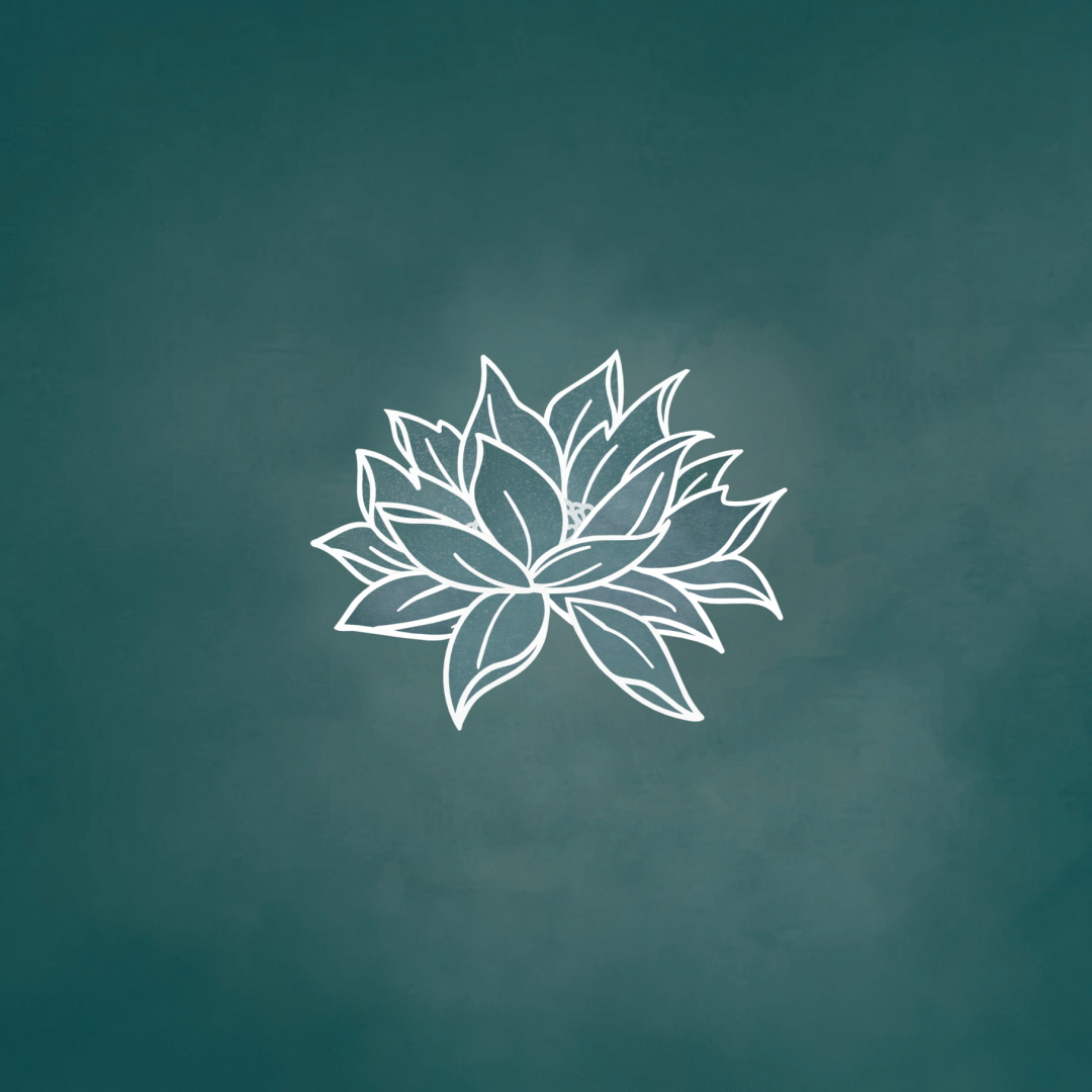 Four Seasons x The White Lotus. 👀 Unforgettable experiences will unfold next year. The new season of the HBO Original Series #TheWhiteLotus premieres in 2025 on Actually HBO Max #TheWhiteLotusxFourSeasons​