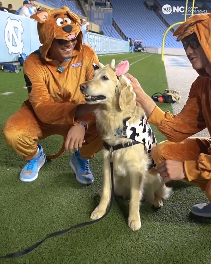 Last night, UNC Men's Lacrosse, UNC Women's Lacrosse, Carolina Baseball and Carolina Softball student-athletes came together at Kenan Stadium for the fourth annual Heel-O-Ween LaxBall fundraiser with all of the proceeds benefiting the UNC Children's Hospital! 🎃 #GoHeels x N.C. Electric Co-ops