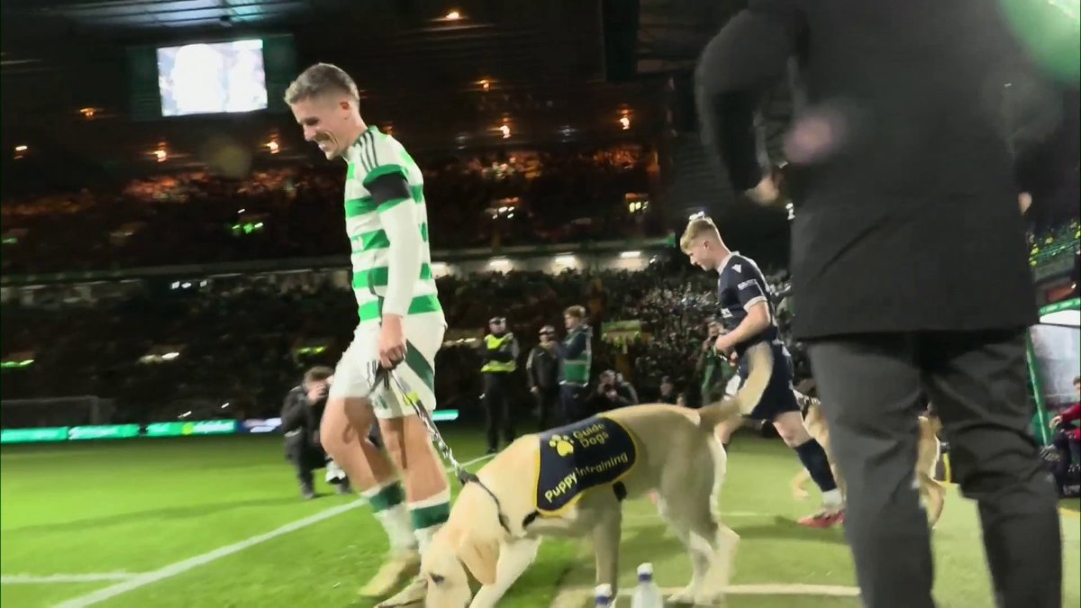 🐶 There were two fluffy mascots at Celtic versus Dundee last night! The guide dogs were the star of the show as Celtic support and highlight the work that Guide Dogs Scotland do helping visually impaired people ⤵️