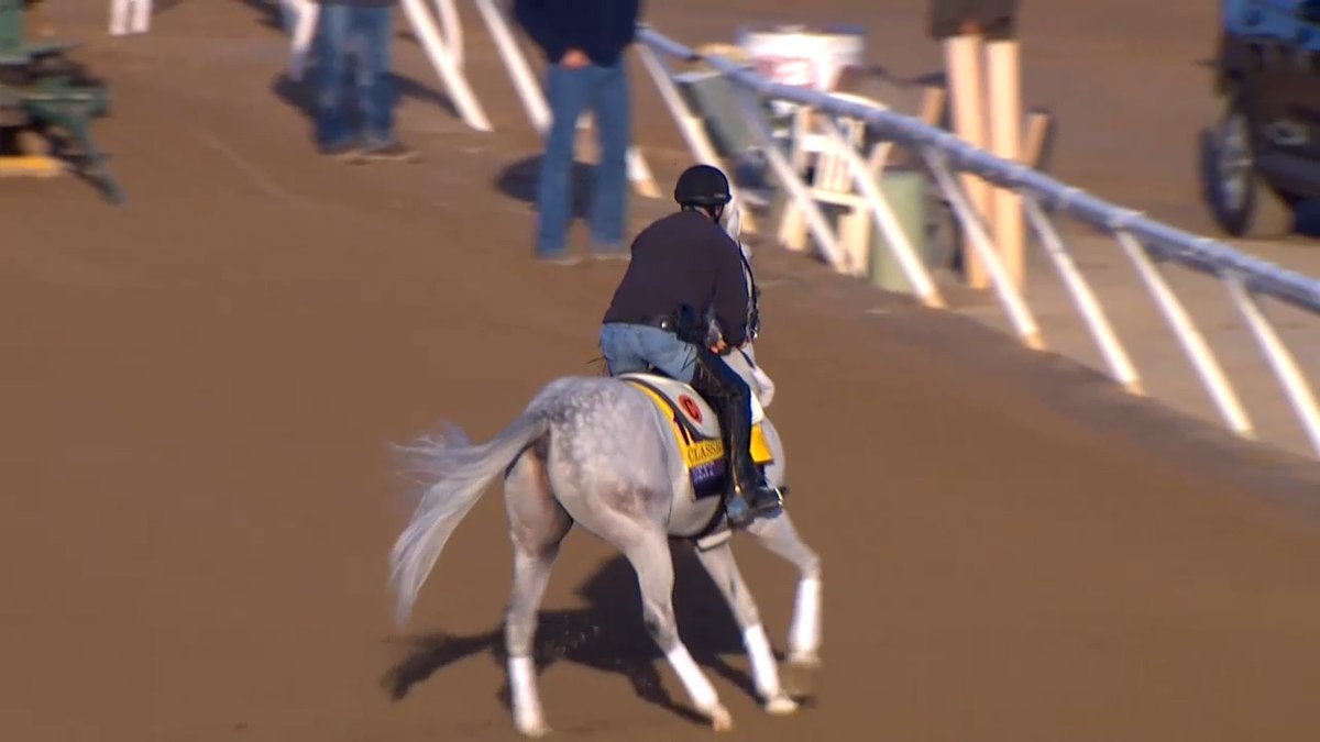 NEXT is out on the track at Del Mar for a jog getting ready for the Breeders' Cup Classic on Saturday. Will you be betting on NEXT? Watch more on FanDuel Television Horse Racing Network.