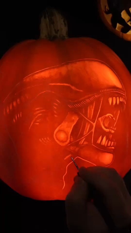 Want to make your own Xenomorph pumpkin? Here’s how! 🚨 Please be careful when using sharp tools🚨