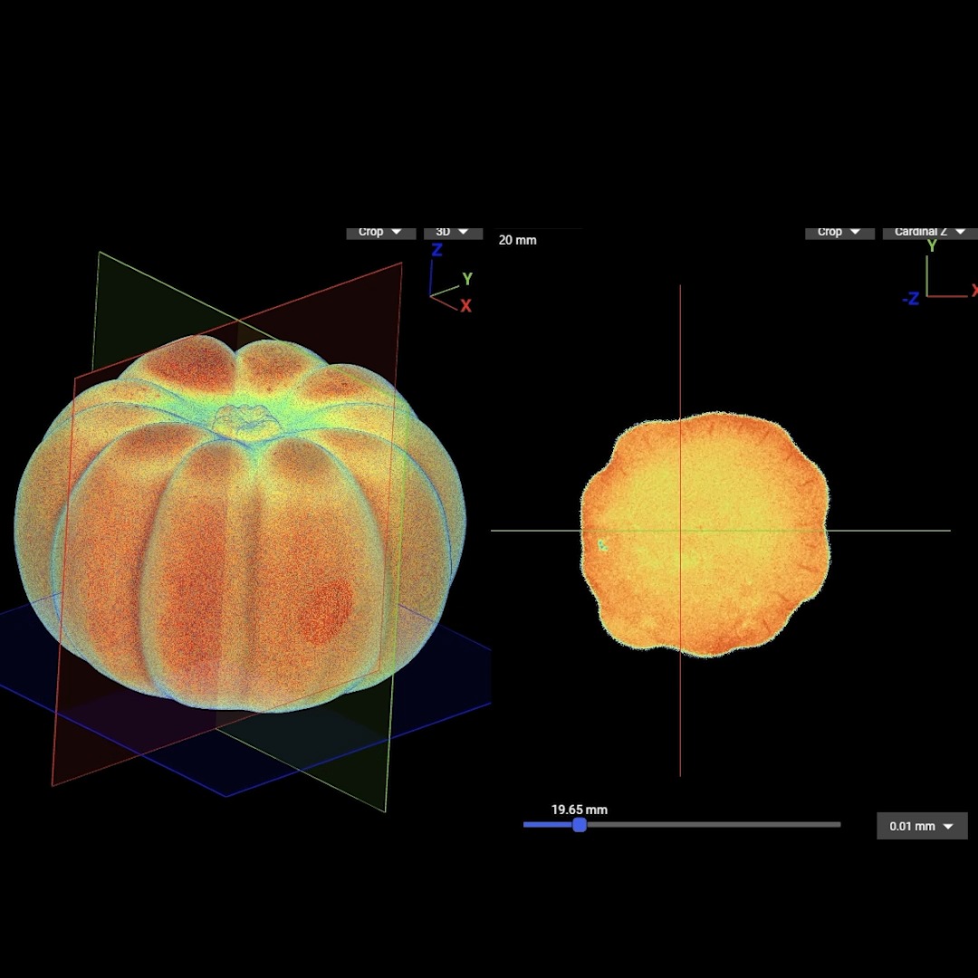 We used X-rays to look inside a pumpkin for Halloween! It's freaky but interesting