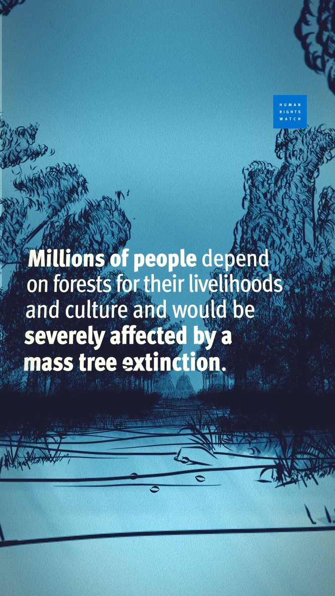 Trees are essential for life on earth — and almost a third of tree species are facing extinction in the wild. Strong laws are needed to combat deforestation and incentivize conservation.