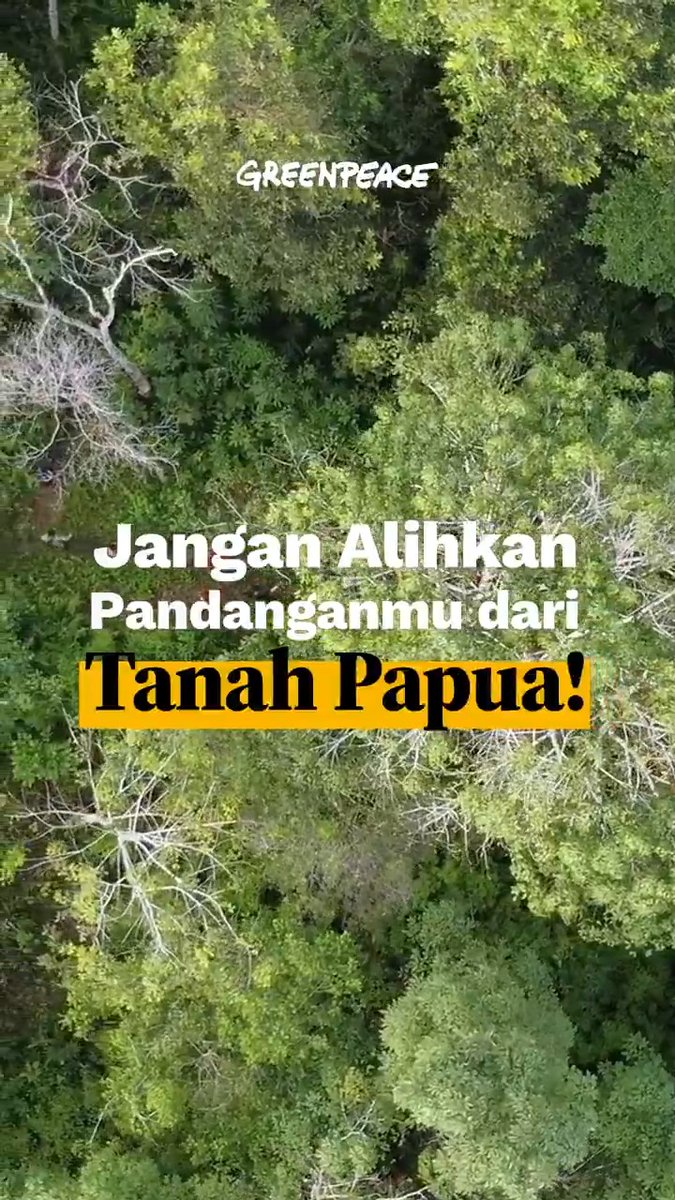 "Saya merasa kecewa karena saya sendiri sudah tidak ada jalan keluar lain yang saya harapkan untuk bisa melindungi dan menyelamatkan tanah dan manusia di wilayah tanah adat saya." - Hendrikus Woro, pejuang lingkungan hidup dari suku Awyu. 😭😭😭 #SelamatkanHutanPapua