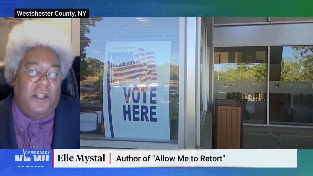 "We are not the greatest democracy on Earth. We are not even a true democracy because of the Electoral College." Elie Mystal explains how Donald Trump may be planning to "steal the election" even if he loses the popular vote.