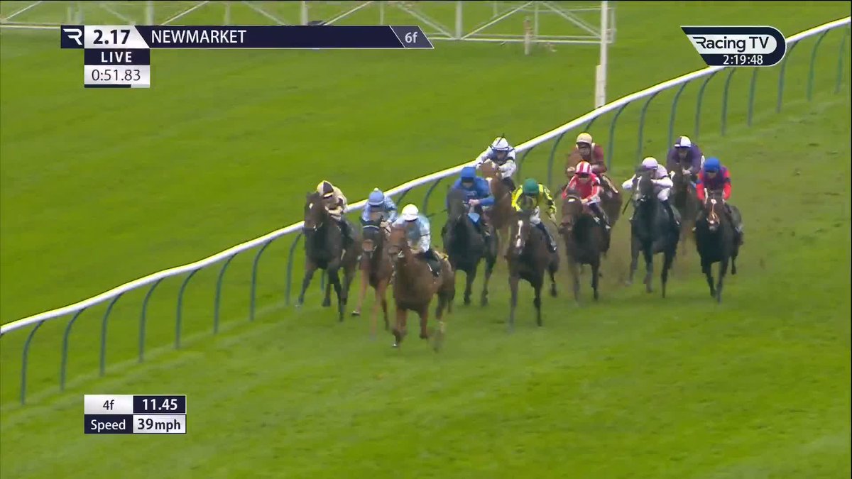 Impressive 👀 A first career win for Sixtygeesbaby (Starspangledbanner) who lands the Westminster-135th Grosser Preis Von Berlin Novice Stakes in style Newmarket Racecourse Tom Clover Racing 🤝 Neil Callan