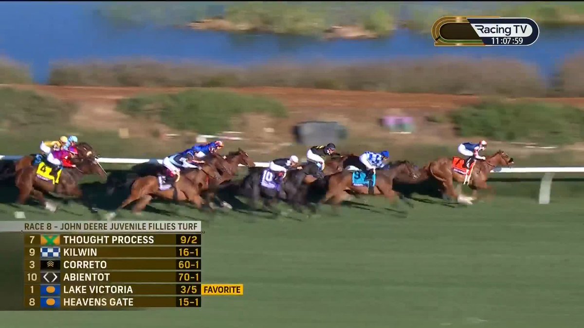 If this didn’t get you off your seat, not much will. Unbelievable ride and some horse 🔨