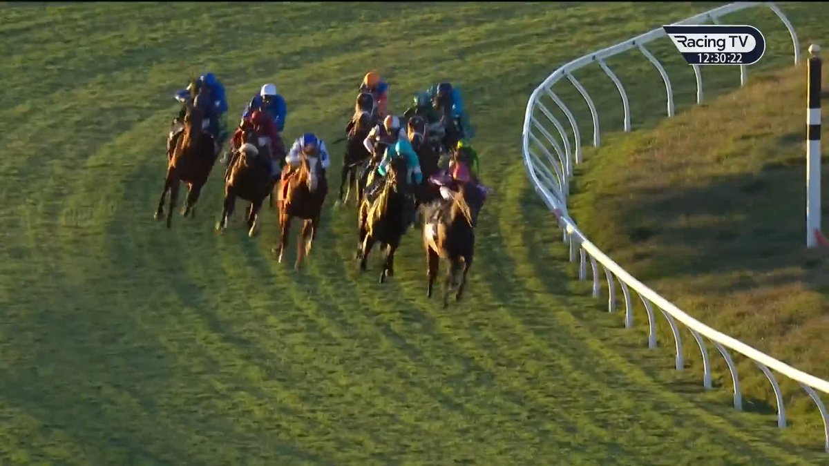 Henri Matisse wins the Prevagen Breeders' Cup Juvenile Turf for Aidan O'Brien and Ryan Moore! #BreedersCup | #BC24 | netkeiba | Breeders' Cup