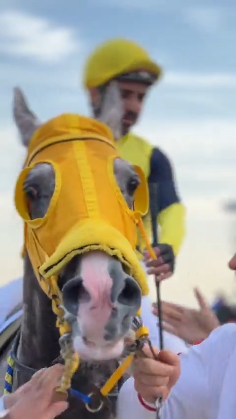 🏇🏻 “Beni arıyorlar, 'Deniz Efe'ye biz binelim' diyorlar... Ben 30 yıldır çözememişim, siz mi çözeceksiniz?” 😅 🏆 Cumhuriyet Koşusu'nun galibi Ahmet Çelik hem güldü hem güldürdü. #TRTSporDijital