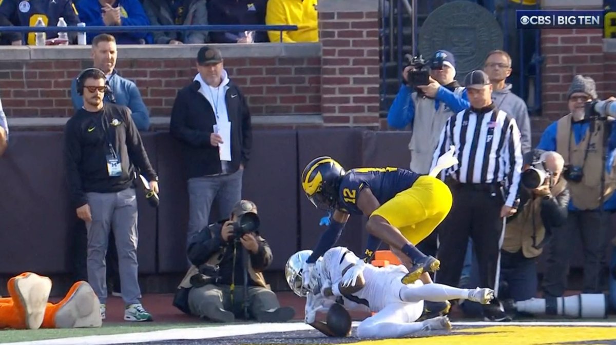 Another look at Evan Stewart's touchdown, which appeared to hit the ground.