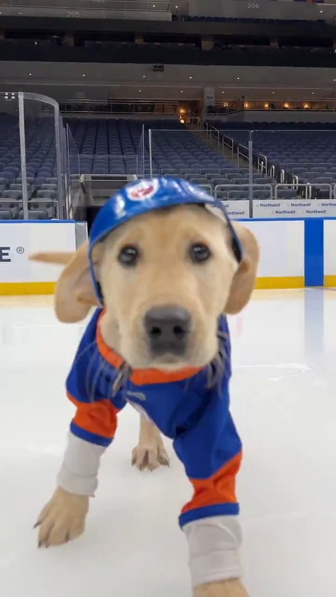 First time on the ice and Butchie is already a pro. 🤩