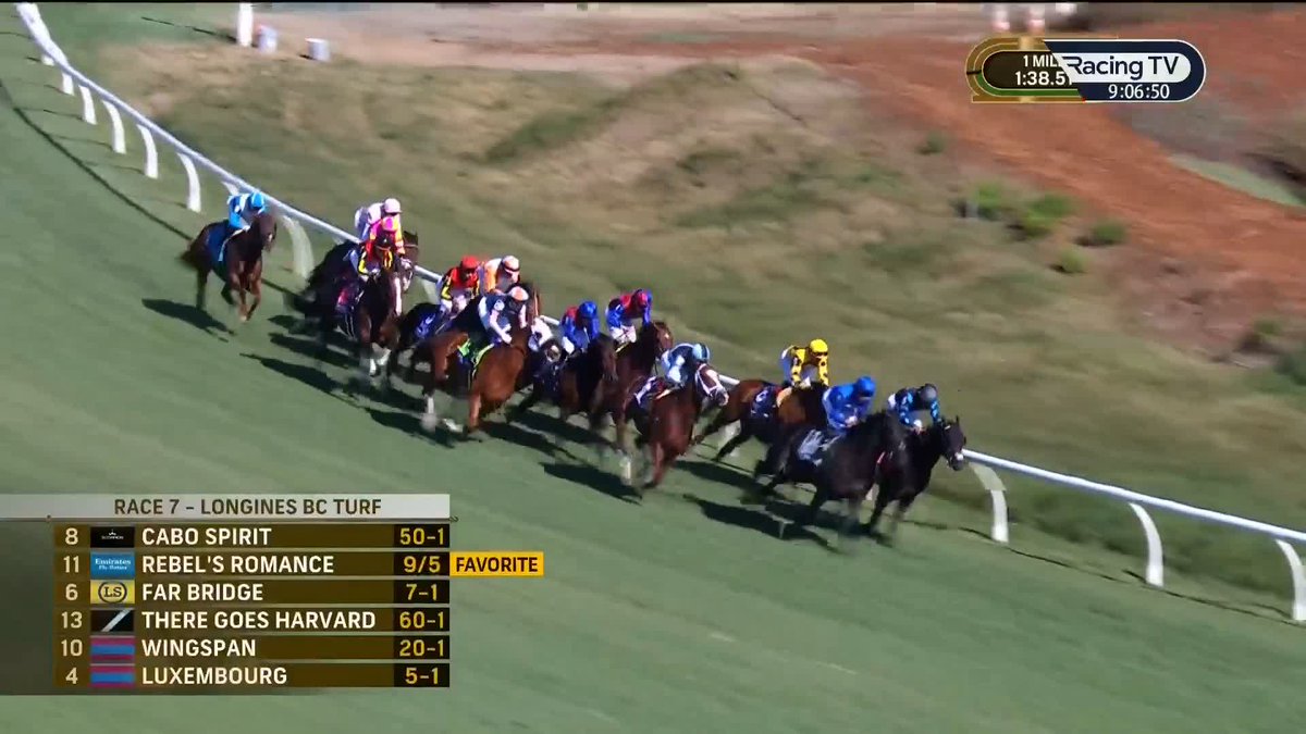 🔵 Rebel's Romance regains his crown! 🏆 2024 Breeders' Cup Turf 🏆 2022 Breeders' Cup Turf #BC24