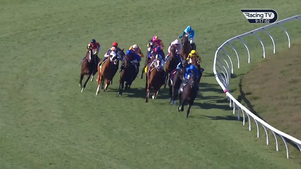 🗣️ "She's never come off the bridle." A horror trip for Emily Upjohn 👇🏻