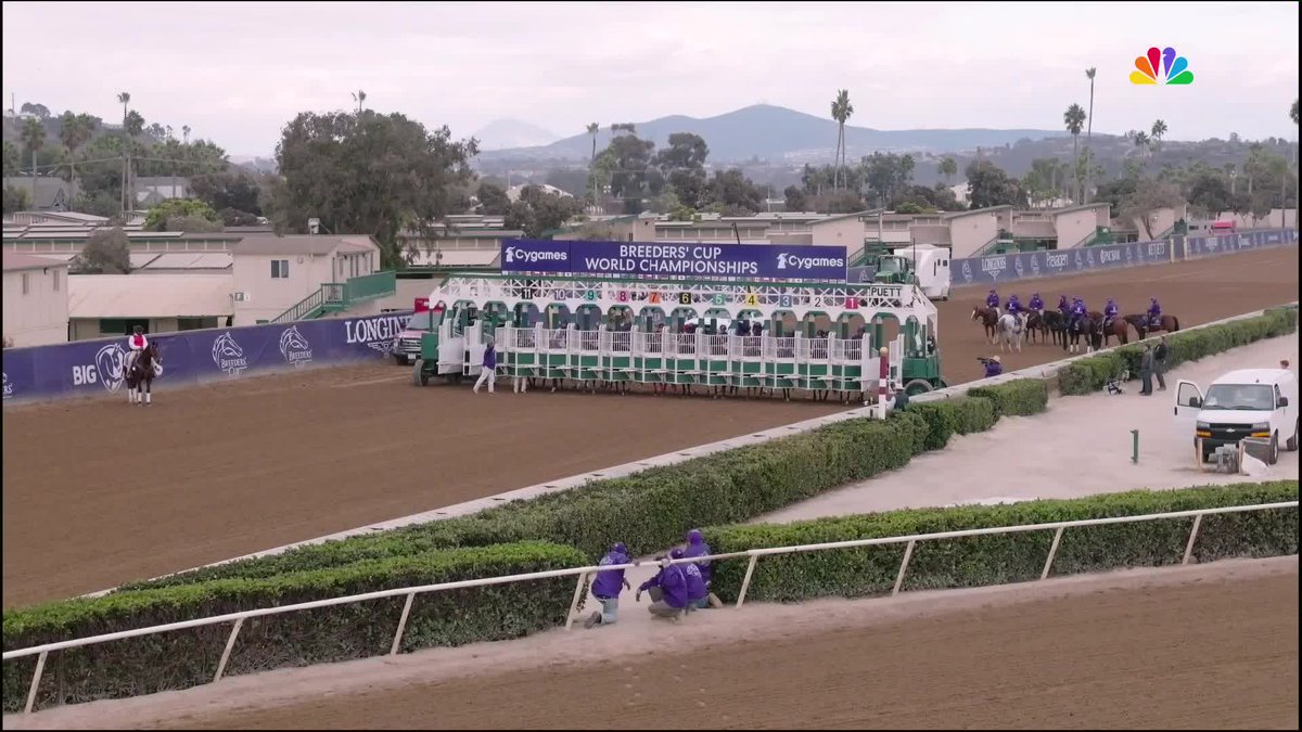 Straight No Chaser wins the $2 Million Cygames #BreedersCup Sprint! Congrats to all connections! #BC24