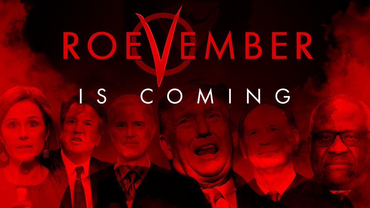 Jonathan Martin They all lied. We are no longer accepting the things we cannot change! We are changing the things we cannot accept! We have the Right of Reply at the Ballot Box! #RoeVemberIsHere! Remember, remember the 5th of RoeVember.